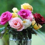 fleurs pour la fête des mères
